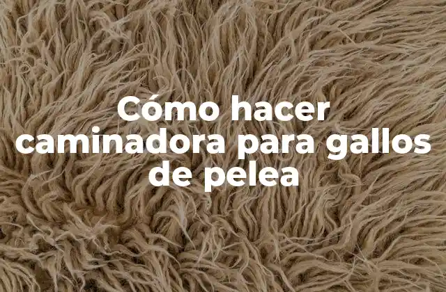Cómo Hacer Caminadora para Gallos de Pelea