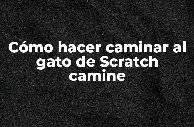 Cómo Hacer Caminar Al Gato de Scratch Camine 2 Cómo hacer caminar al gato de Scratch camine