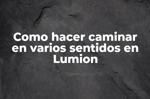 Como Hacer Caminar en Varios Sentidos en Lumion