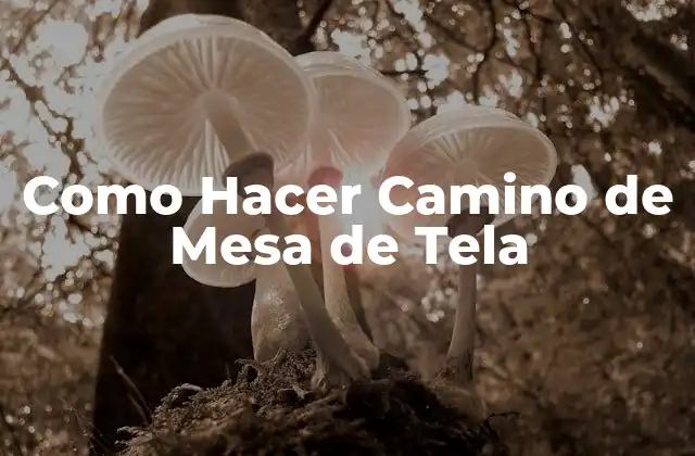 Como Hacer Camino de Mesa de Tela