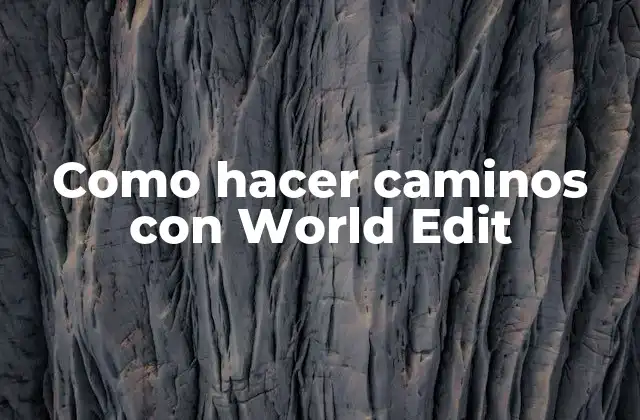 Como Hacer Caminos con World Edit