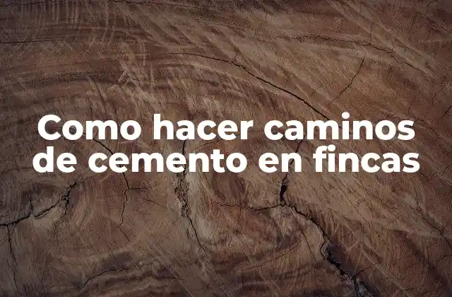 Como Hacer Caminos de Cemento en Fincas