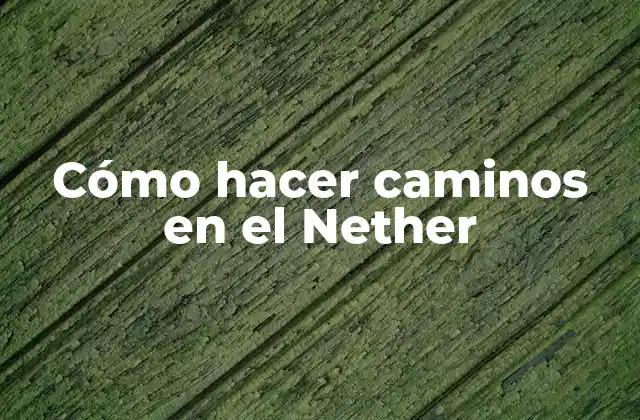 Cómo Hacer Caminos en el Nether