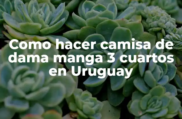 Como Hacer Camisa de Dama Manga 3 Cuartos en Uruguay 2 Camisa de dama manga 3 cuartos en Uruguay