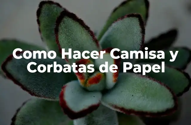 Como Hacer Camisa y Corbatas de Papel