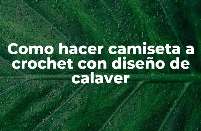 Como Hacer Camiseta a Crochet con Diseño de Calaver