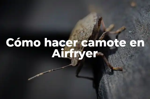 Cómo Hacer Camote en Airfryer