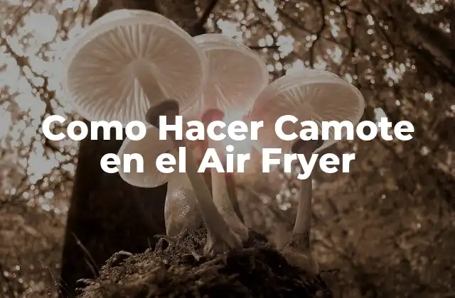 Como Hacer Camote en el Air Fryer