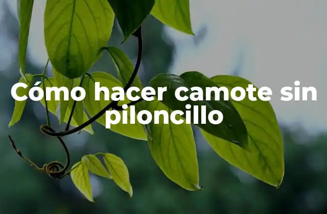 Cómo Hacer Camote sin Piloncillo