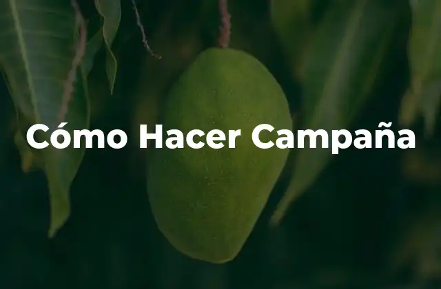 Cómo Hacer Campaña 2 Cómo Hacer Campaña