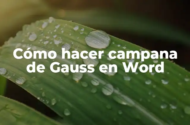 Cómo Hacer Campana de Gauss en Word