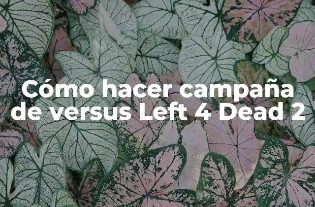 Cómo hacer campaña de versus Left 4 Dead 2