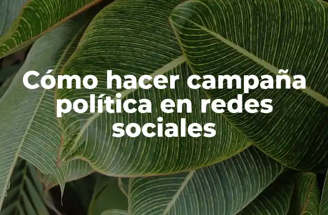 Cómo Hacer Campaña Política en Redes Sociales
