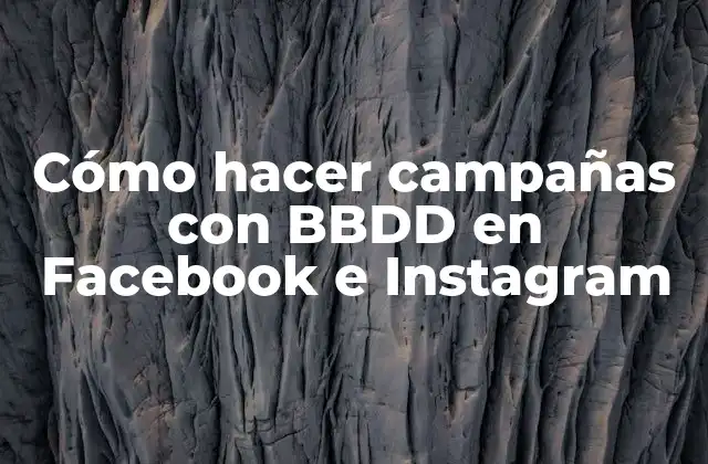 Cómo Hacer Campañas con Bbdd en Facebook e Instagram