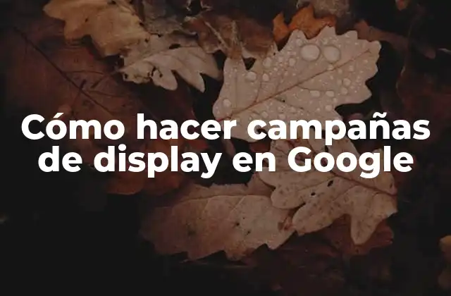 Cómo Hacer Campañas de Display en Google 2 Cómo hacer campañas de display en Google