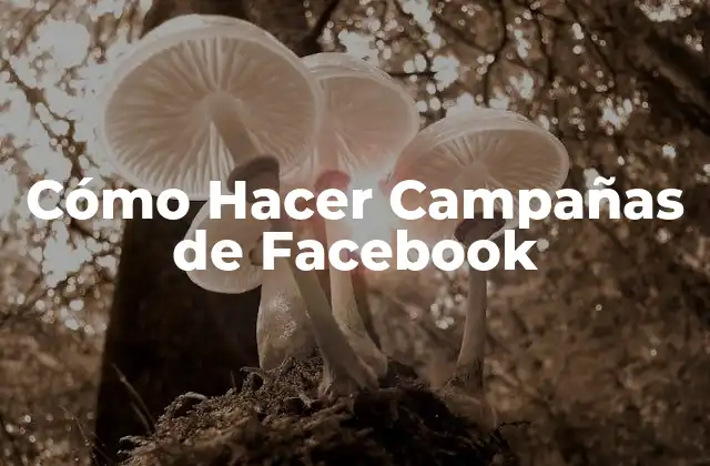 Cómo Hacer Campañas de Facebook