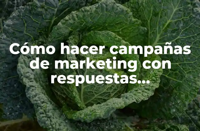Cómo Hacer Campañas de Marketing con Respuestas Automáticas de Messenger