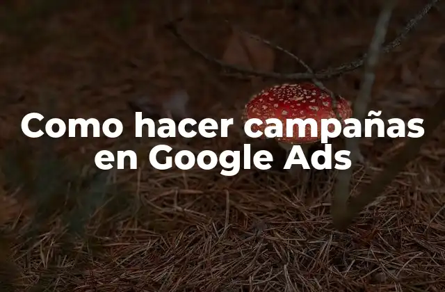 Como Hacer Campañas en Google Ads