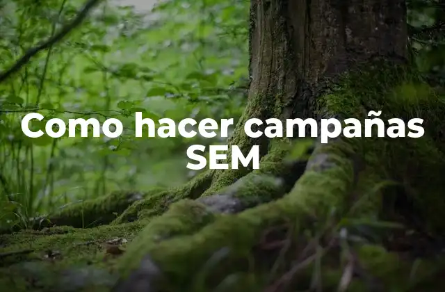 Como Hacer Campañas Sem