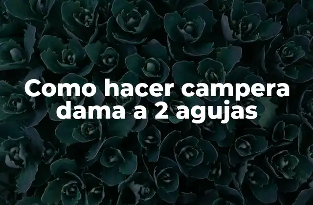 Como Hacer Campera Dama a 2 Agujas