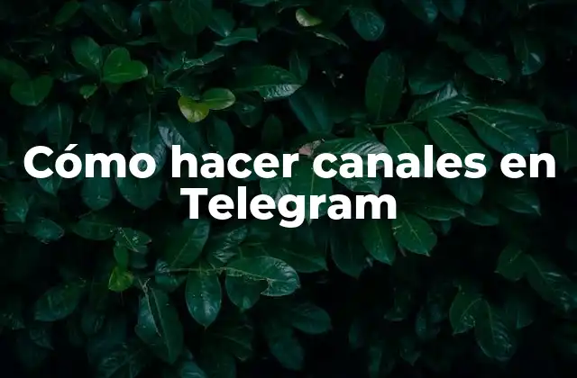 Cómo Hacer Canales en Telegram