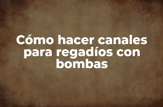 Cómo Hacer Canales para Regadíos con Bombas