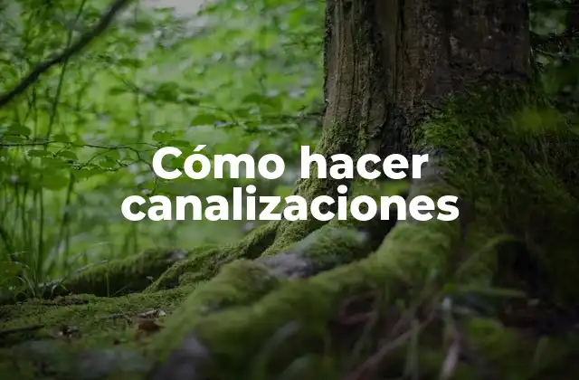 Cómo Hacer Canalizaciones