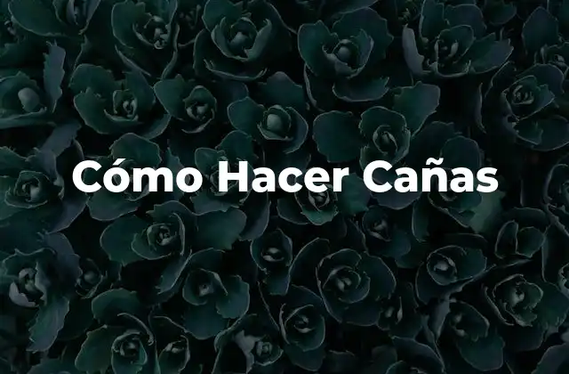 Cómo Hacer Cañas