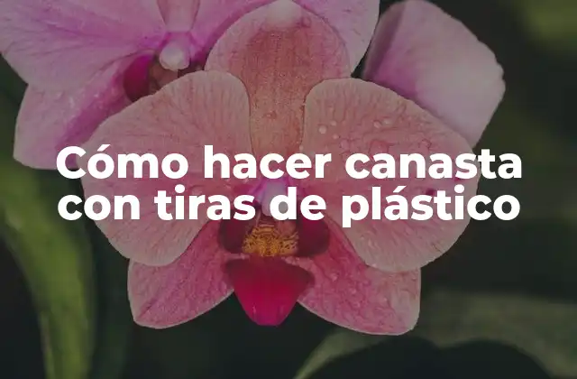 Cómo Hacer Canasta con Tiras de Plástico
