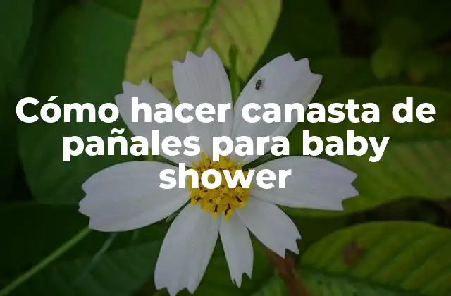 Cómo Hacer Canasta de Pañales para Baby Shower