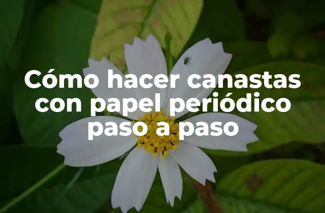 Cómo Hacer Canastas con Papel Periódico Paso a Paso 2 Cómo hacer canastas con papel periódico paso a paso