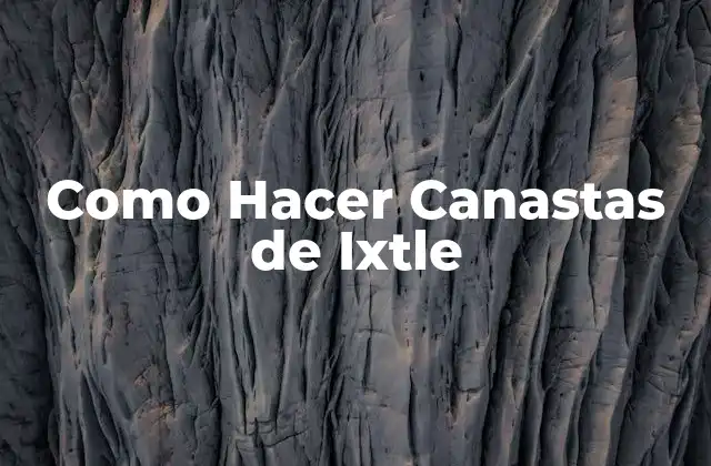 Como Hacer Canastas de Ixtle