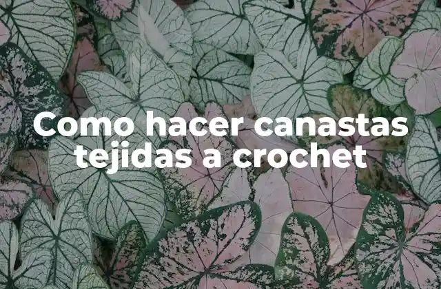 Como Hacer Canastas Tejidas a Crochet