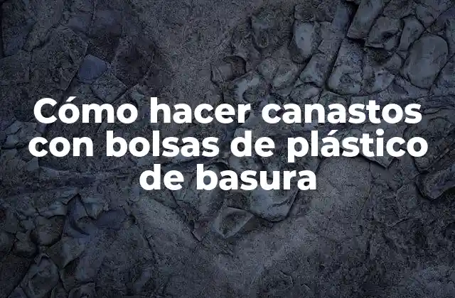 Cómo Hacer Canastos con Bolsas de Plástico de Basura
