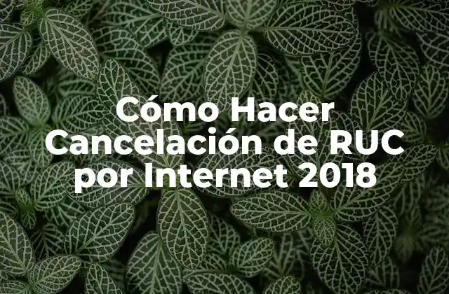 Cómo Hacer Cancelación de Ruc por Internet 2018
