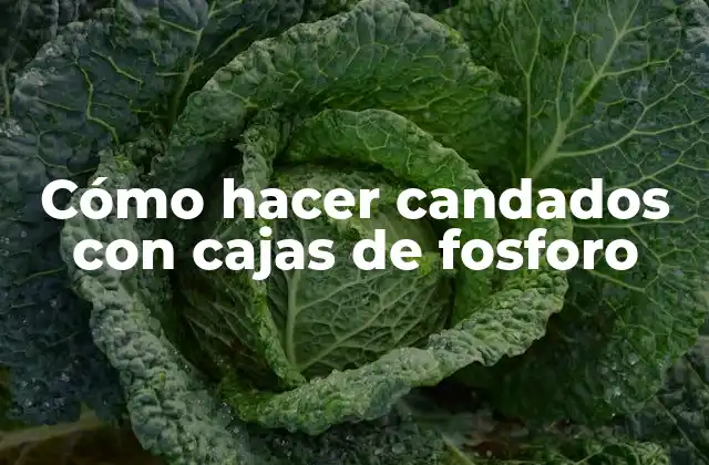 Cómo Hacer Candados con Cajas de Fosforo