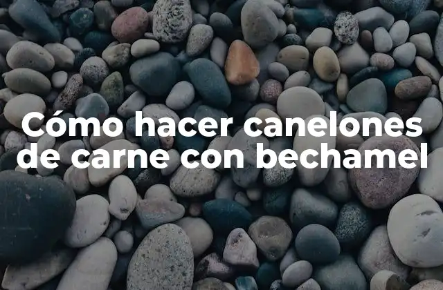 Cómo Hacer Canelones de Carne con Bechamel