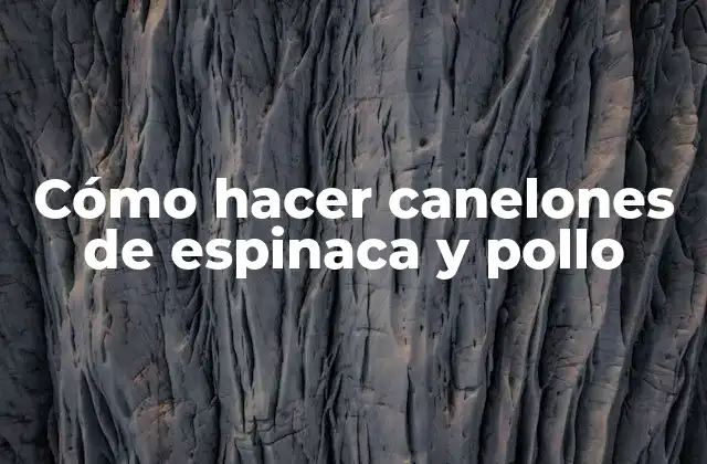 Cómo Hacer Canelones de Espinaca y Pollo 2 Cómo hacer canelones de espinaca y pollo