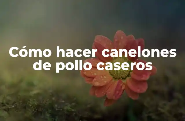 Cómo Hacer Canelones de Pollo Caseros