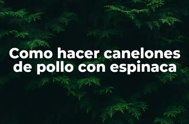Como Hacer Canelones de Pollo con Espinaca 2 ¿Qué son los canelones de pollo con espinaca?