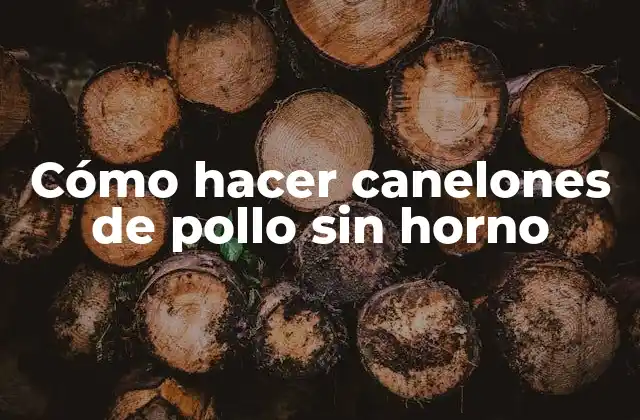 Cómo Hacer Canelones de Pollo sin Horno