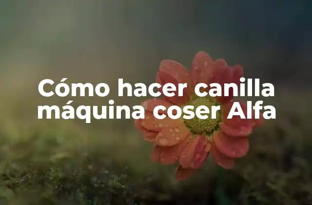 Cómo Hacer Canilla Máquina Coser Alfa