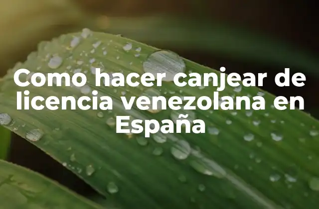 Como Hacer Canjear de Licencia Venezolana en España
