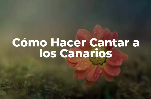 Cómo Hacer Cantar a los Canarios