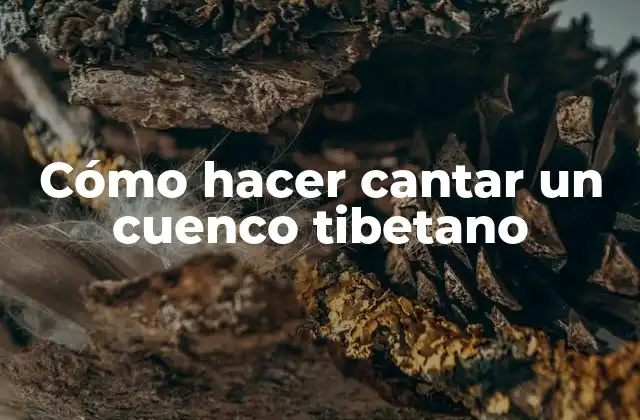 Cómo Hacer Cantar un Cuenco Tibetano