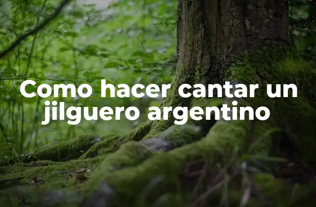 Como Hacer Cantar un Jilguero Argentino