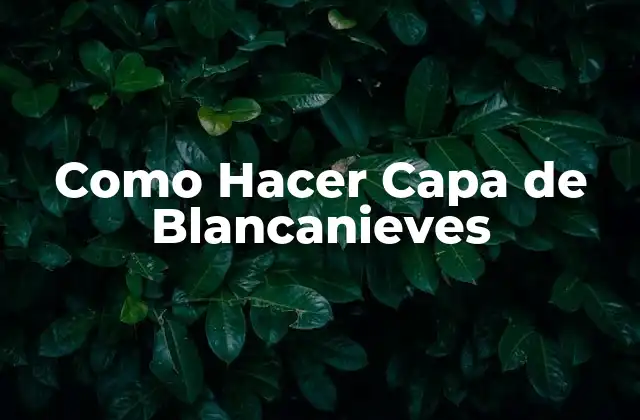 Como Hacer Capa de Blancanieves