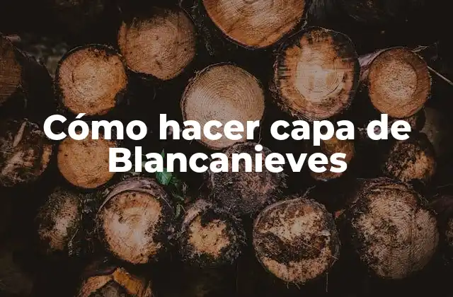 Cómo Hacer Capa de Blancanieves