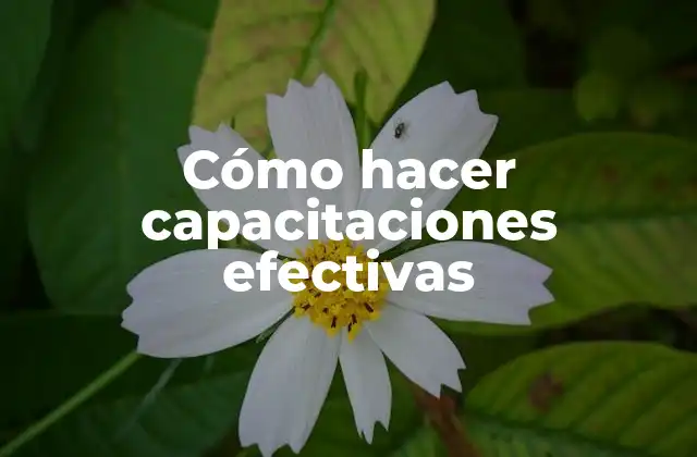 Cómo Hacer Capacitaciones Efectivas