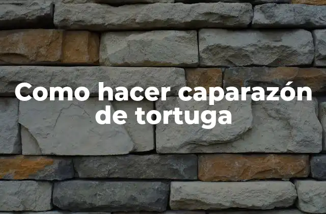 ¿Qué es un caparazón de tortuga?